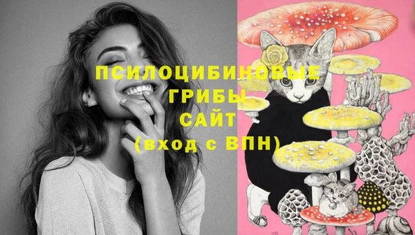 метадон Алзамай