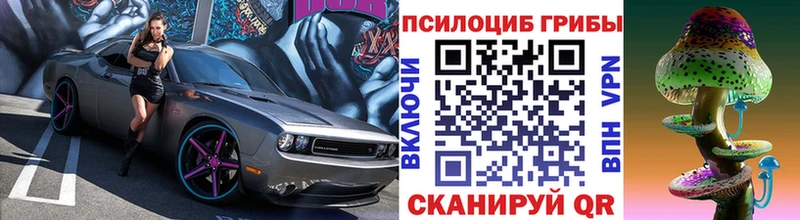 Псилоцибиновые грибы мицелий Суджа
